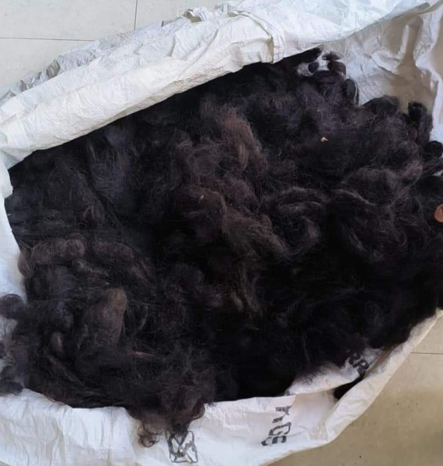  Goli Hair
